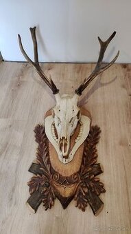 Jelenie parohy na drevenej podložke