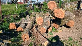 Zdravé krásne orechové drevo - aj palivové