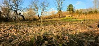 Pozemok s výhľadom na Sĺňavu v blízkosti Piešťan