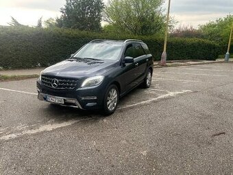 Mercedes Benz ML 220cdi 4matic