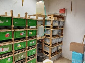 Chovné regále pre hlodavce