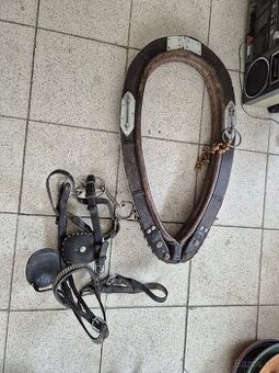 Predam chomut na kona a postroj