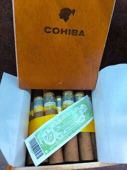 Cohiba robustos