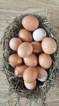 Vajíčka domáce, čerstvé cena 0,40 centov/kus