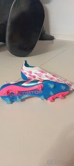 Kopacky predator