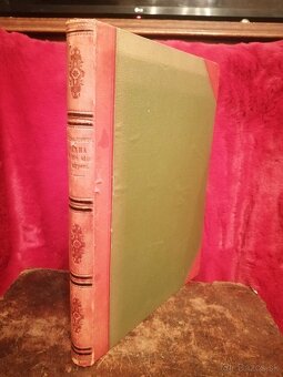 Praha ve své sláve i utrpení Ján Dolenský 1903