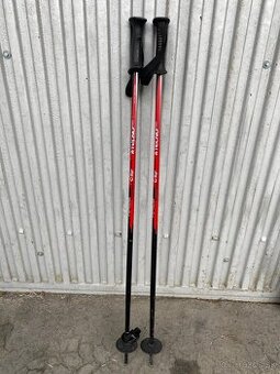 Detské lyžiarske palice TECNO PRO