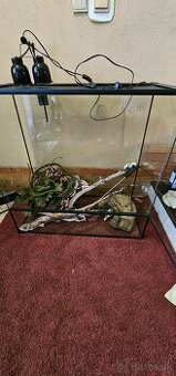 RP terarium 90 x 45 x 90