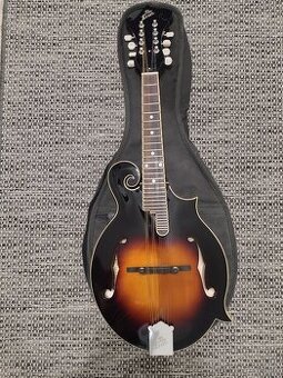 Mandolína Loar LM520