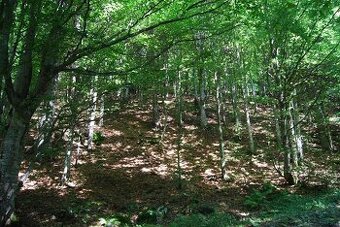 Predám podiely na pozemkoch – Dubnica a Bojnice (okres Priev