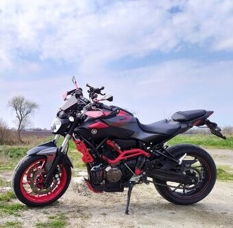 Yamaha MT 07 Moto Cage