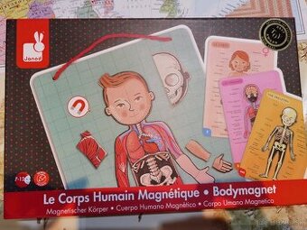 Predám ľudské telo magnety