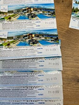 AquaCity Poprad - celodenný vstup s wellness