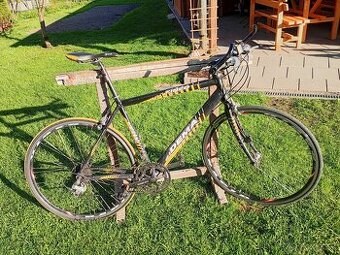 Bicykel Dema Fineo