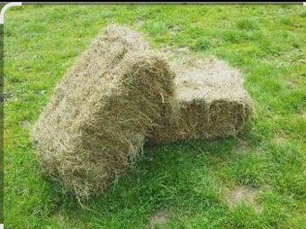 Maly balík sena