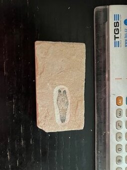 Fosília, skamenelina, rybka - inzerát č.10 Libanon