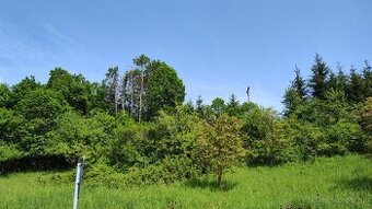 Predám rekreačný pozemok v Kolaroviciach pri Bytči - dohoda - 1