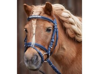Anglická uzda PONY
