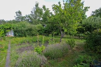 NA PREDAJ – Pestovaná záhrada s chatkou v lokalite Žabí Maje