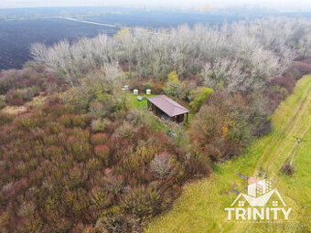 Na predaj pozemky s chatkou medzi mestom Šurany a Palárikovo