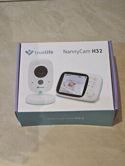 TrueLife NannyCam H32