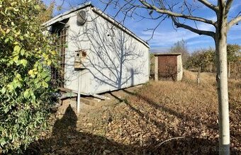 Vinica a sad - Kamenný Most, Hegyfarok - predaj alebo výmena