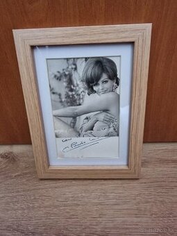 Podpísaná karta Claudia Cardinale.  Originál.
