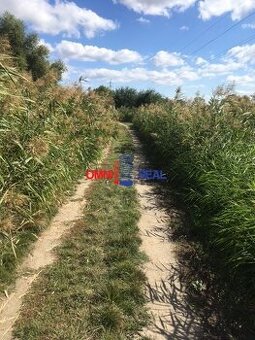 N Pozemok vedený ako trvalý trávnatý porast o veľkosti 1013