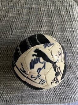 Futbalová lopta Puma s podpismi SVK repre ME 2016