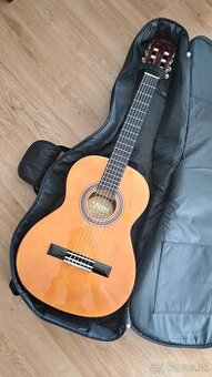 Gitara Valencia VC103