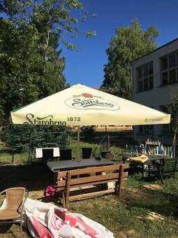 Slnečník veľký