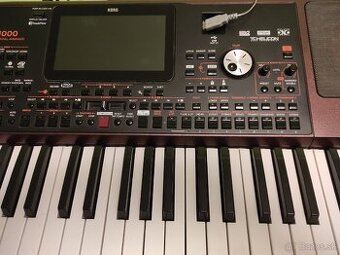Korg PA 1000 - 1