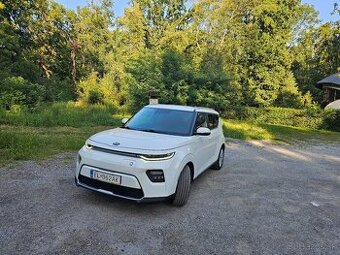 Kia e - soul AC 150 Platinum