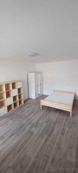 1-izbovy byt centrum - 1