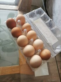 Predám domáce vajíčka