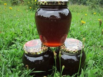 Včeli med lesny  a ine včelie produkty