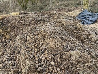 DARUJEM kvalitný konský hnoj – čistý, bez hoblín a bez osiva