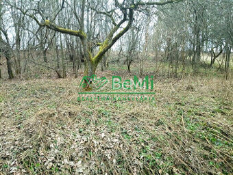 ID:003-14-MAFE Rekreačný pozemok, na výstavbu chaty, na pred