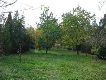 Rodinný dom s administratívnou budovou, dvojgarážou a veľkým