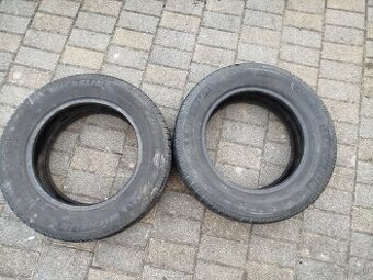 MICHELIN R15