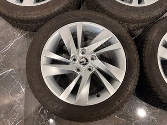 kolesa zimní Škoda Octavia IV r17 5E3071497H NEVIS