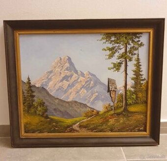 maľovaný obraz 60x50cm - Alpy