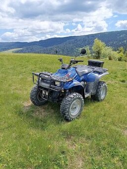 Polaris Magnum 325