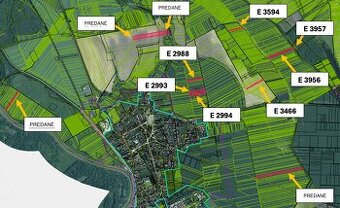 Vysoká pri Morave – 26.664m2 ORNÁ PÔDA a LES 1/1