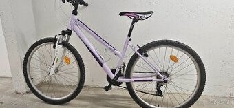 Dema ISEO Lady 3.0 pink-violet 16"