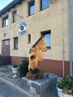 Ošetrovateľ koní
