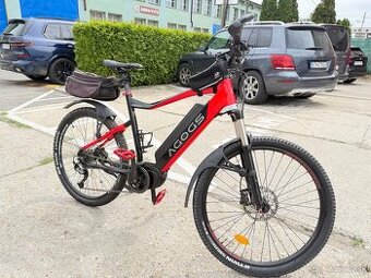 E-bike AGOGS Max-R 2020