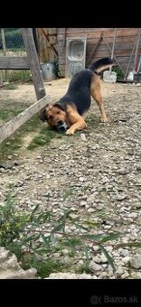 Darujeme fenku ❤️