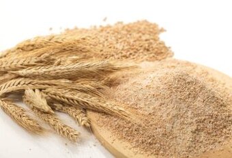 Predam psenicnu muku krmnu -psenicny srot