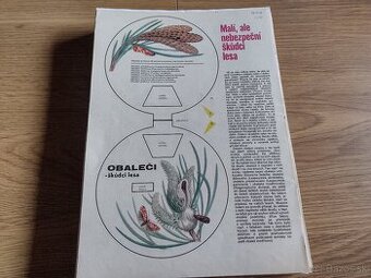 Papierové modely, vystrihovačky z ABC pre deti